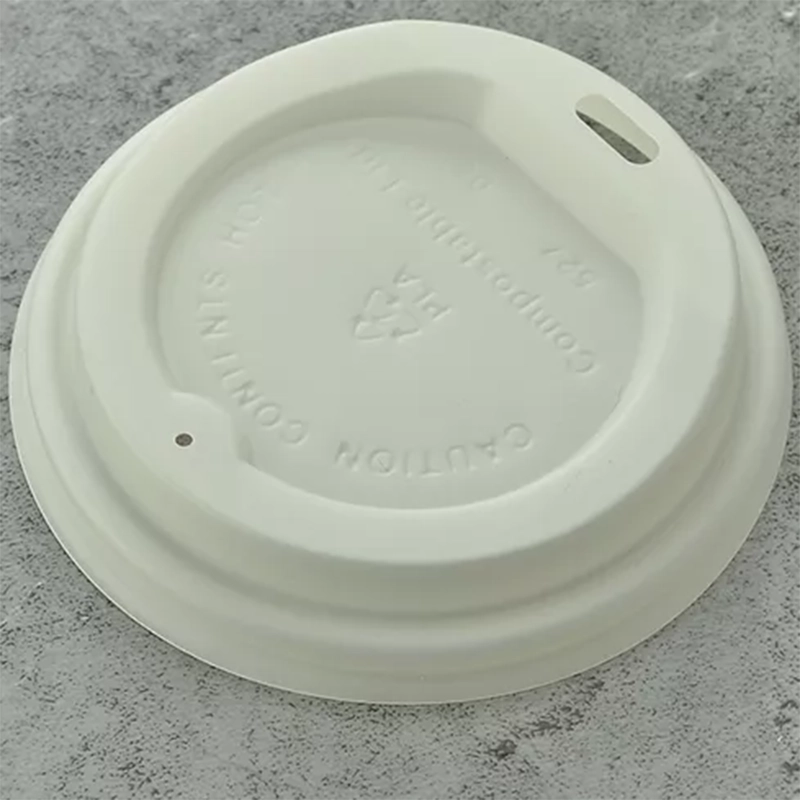 axapack PLA cover lid 02