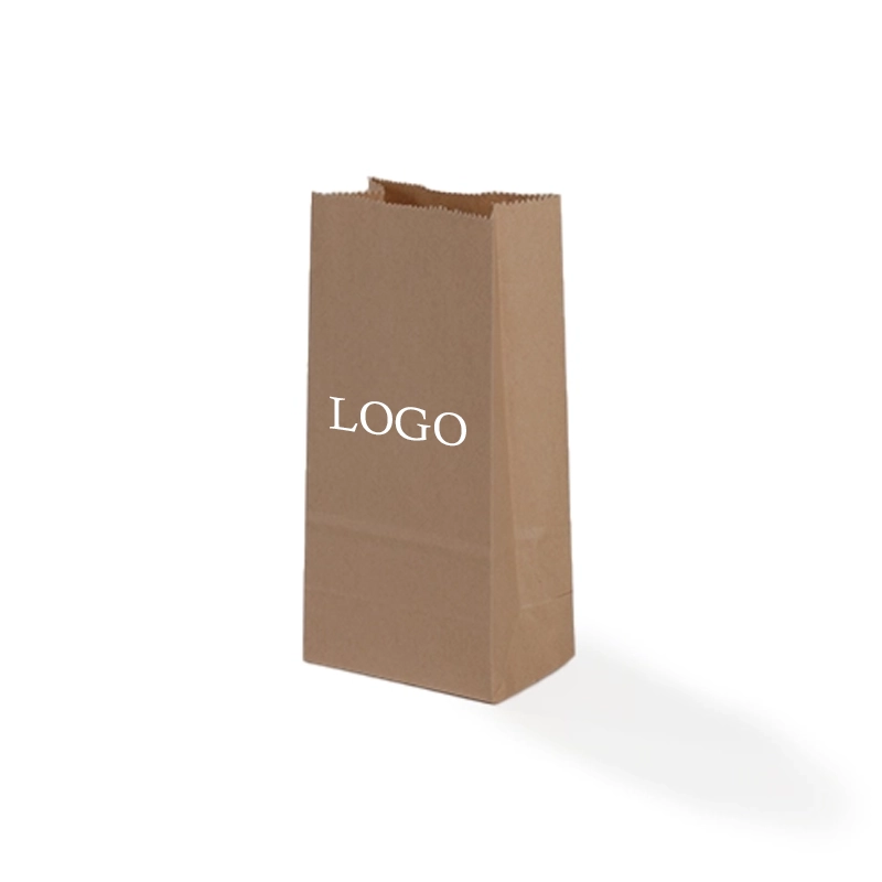 axapack paper bags 9