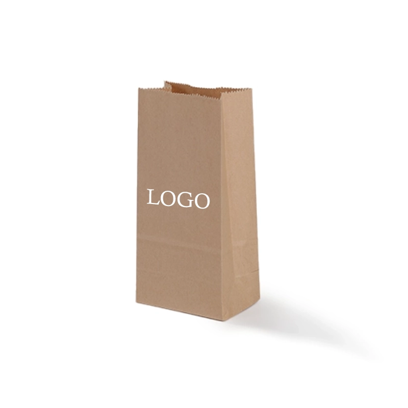 axapack paper bags 10