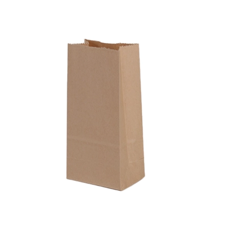 axapack paper bags 11