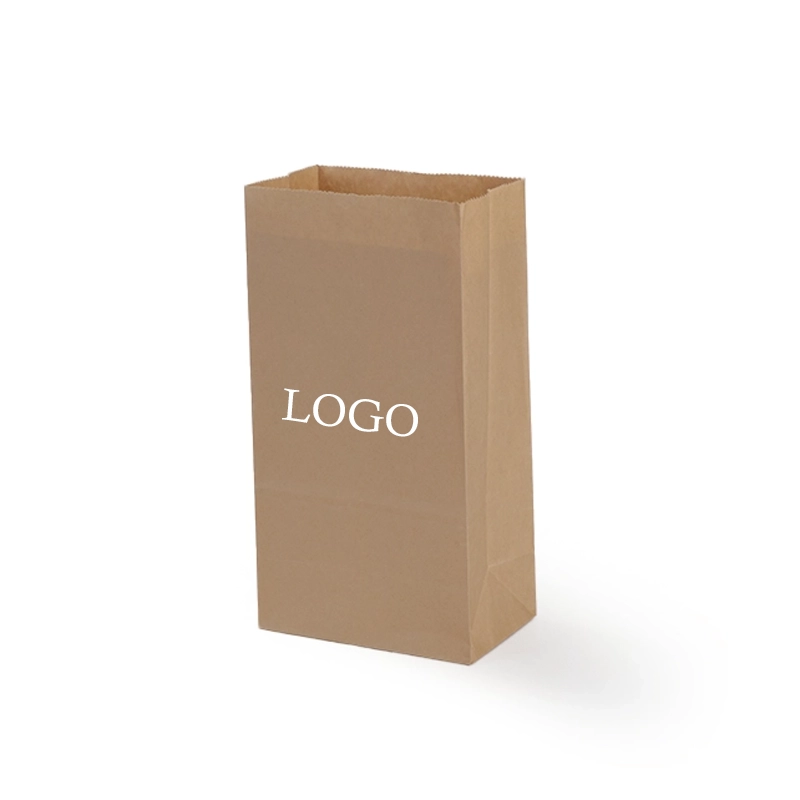axapack paper bags 13