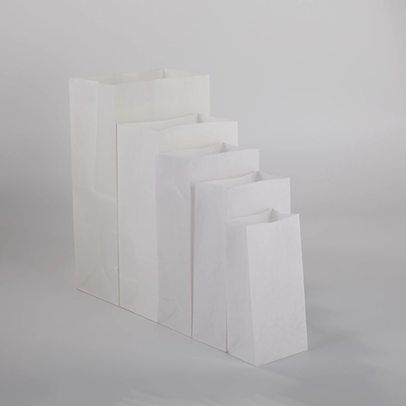 axapack paper bags 31