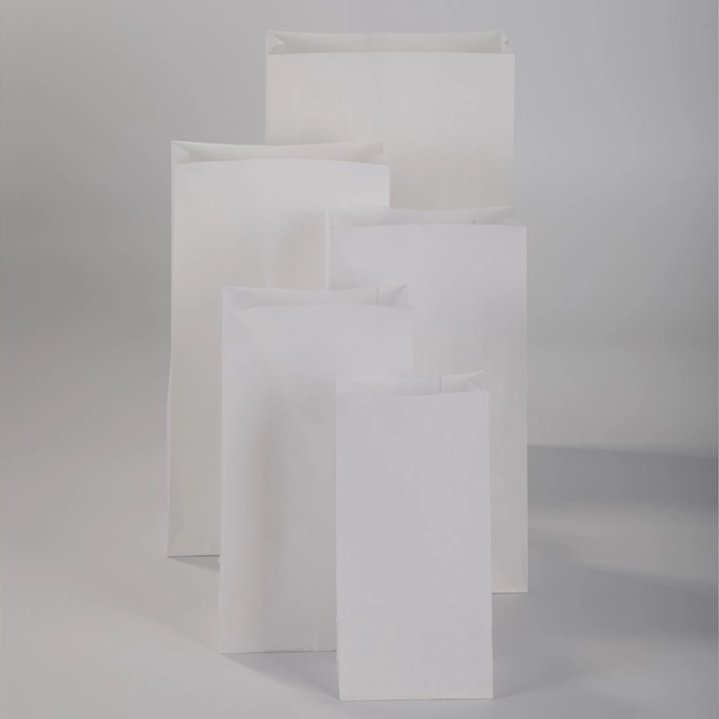 axapack paper bags 32