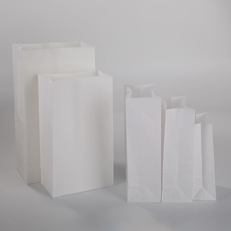 axapack paper bags 34