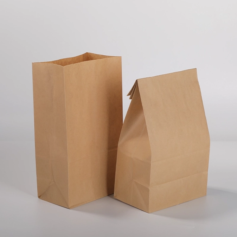 0 axapack paper bags 24