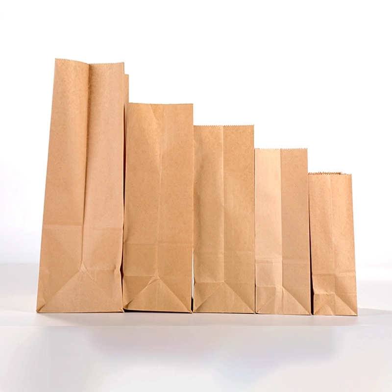 axapack paper bags 17