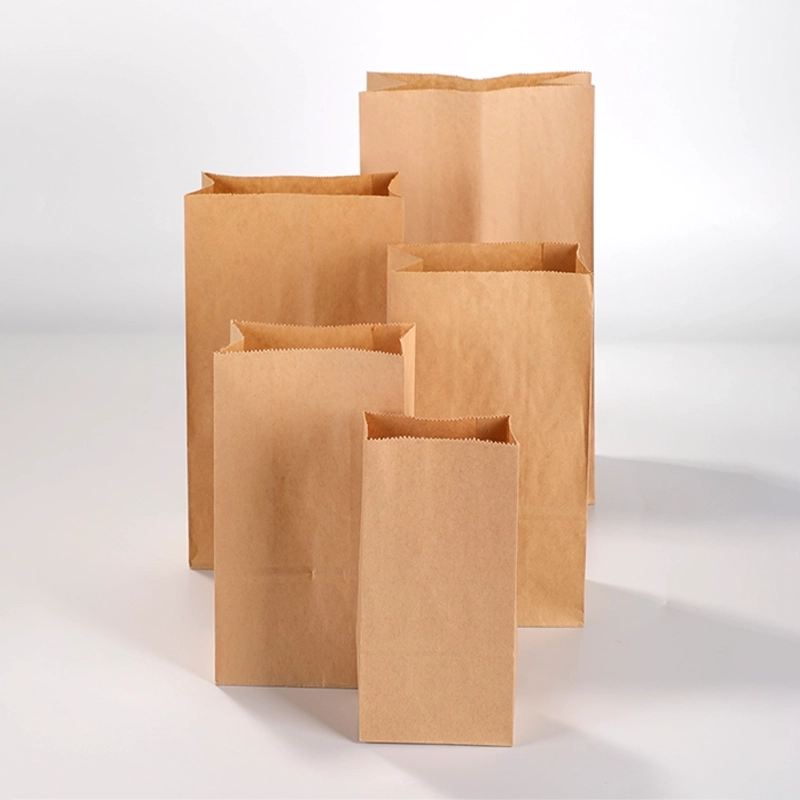axapack paper bags 21