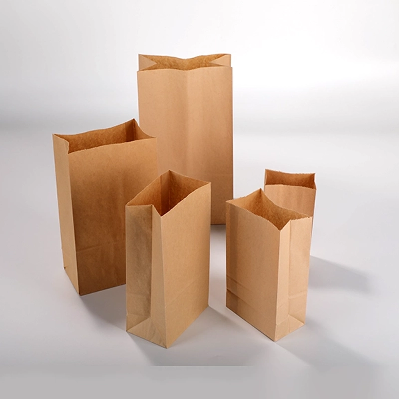 axapack paper bags 23
