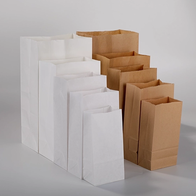 axapack paper bags 36