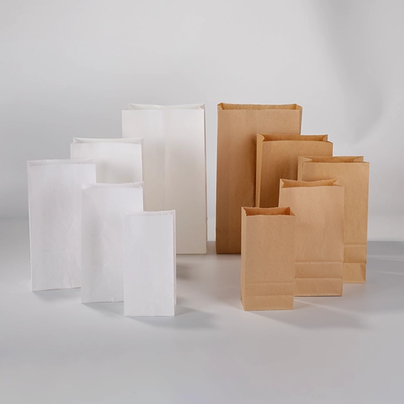 axapack paper bags 39