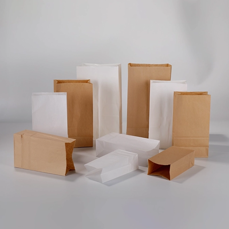 axapack paper bags 41