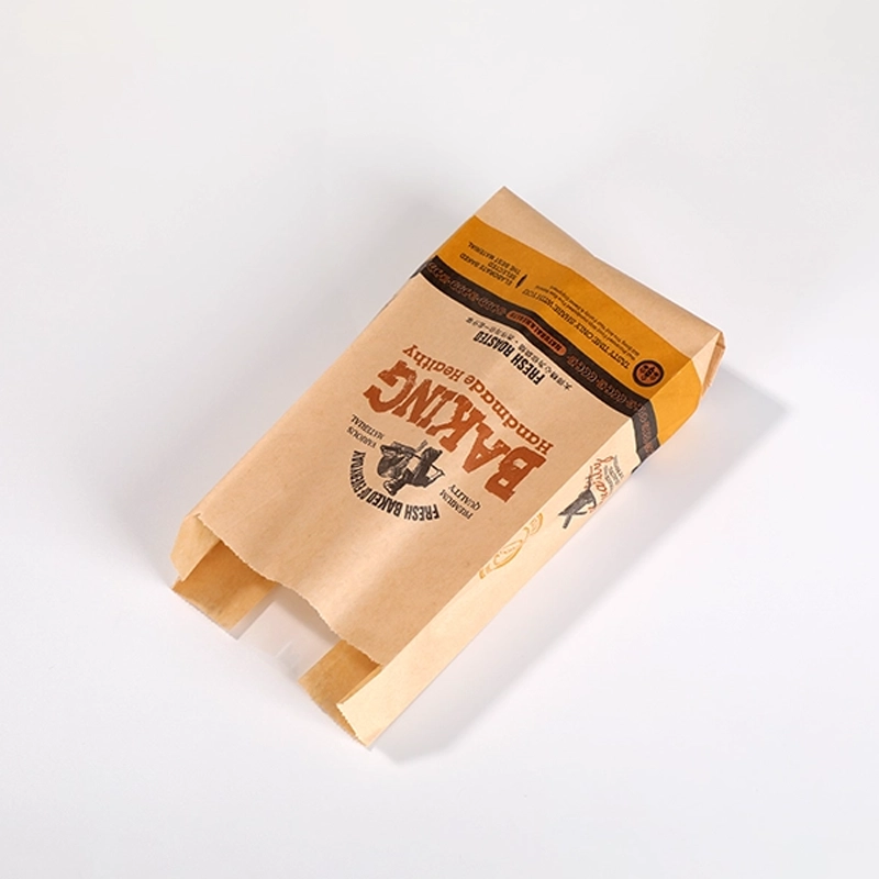axapack paper bags 109