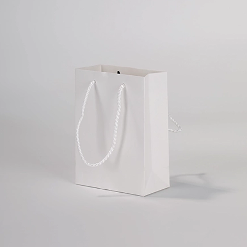 axapack paper bags 207