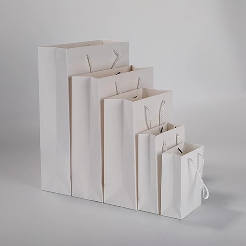 axapack paper bags 208