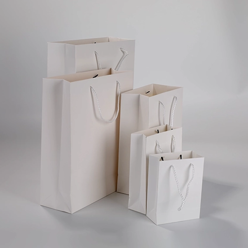 axapack paper bags 209