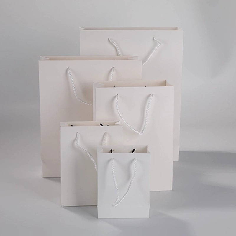 axapack paper bags 210