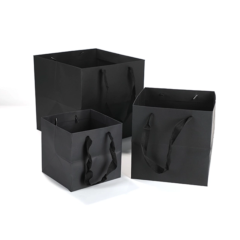 axapack paper bags 227
