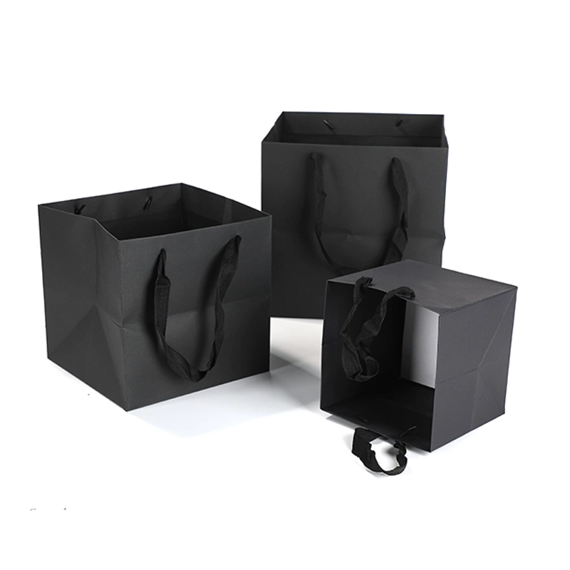 axapack paper bags 228