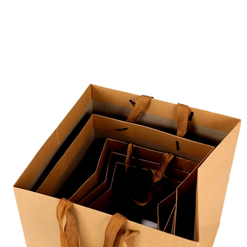 axapack paper bags 205