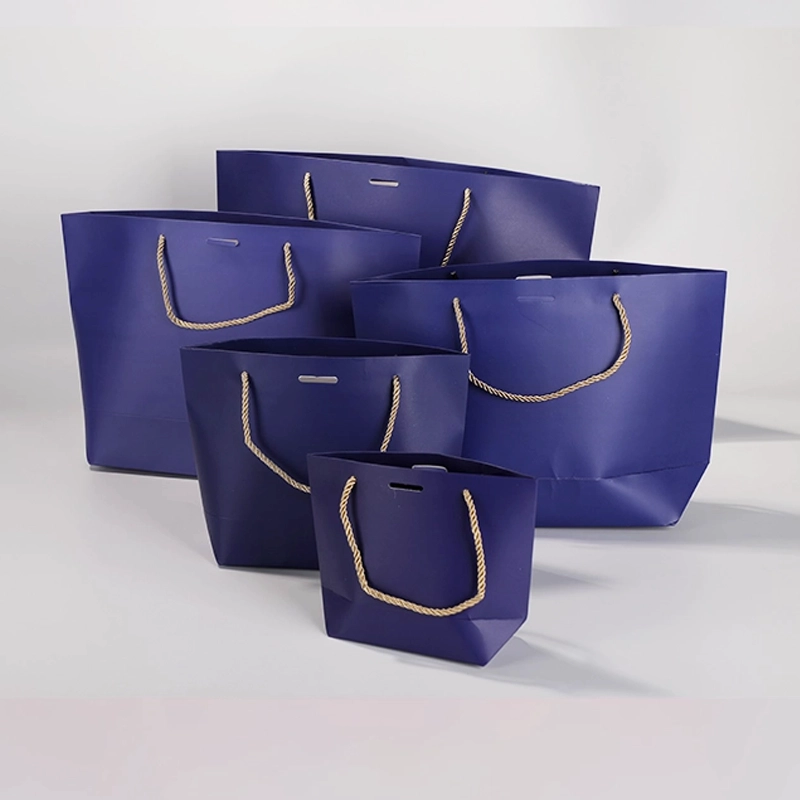 axapack paper bags 257