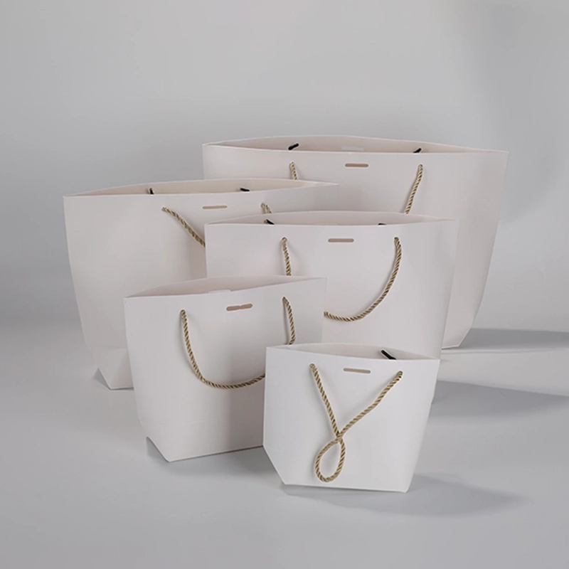 axapack paper bags 260