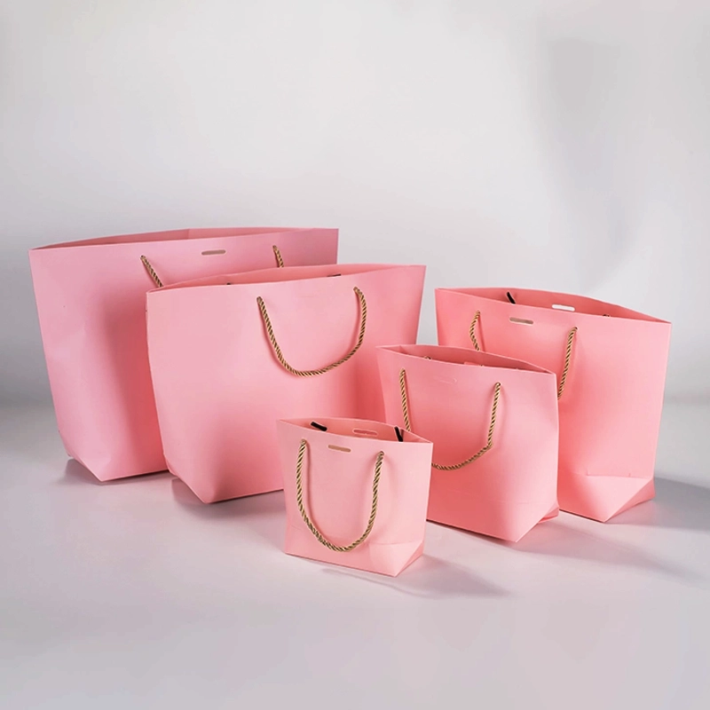 axapack paper bags 263