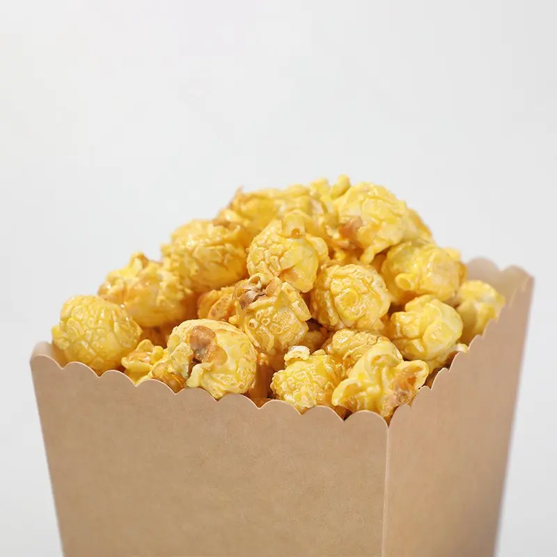 axapack kraft container bowl soup eco friendly disposable 51